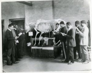 several men stand around cow skeleton on pedestal holding notepads and pencils